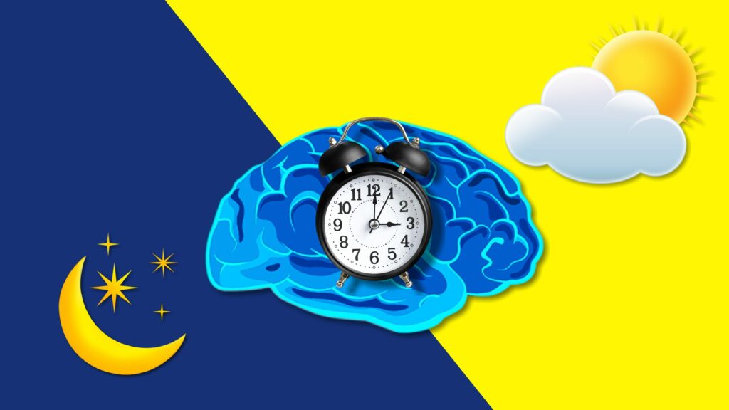 Rythme circadien : Changez votre journée, changez votre vie