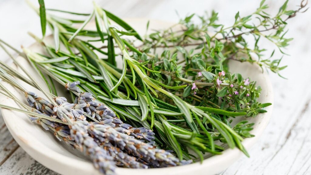 Un jardin plein de parfums et de saveurs : 10 herbes qui en valent la peine