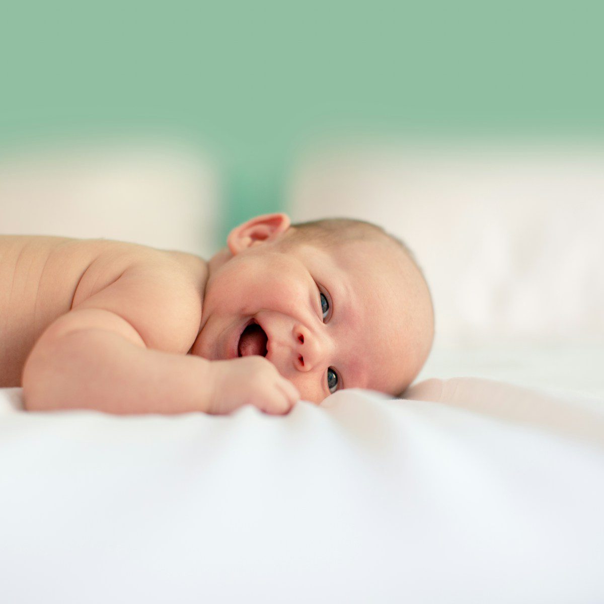 Une seule cellule donne naissance à un corps humain entier en l'espace de neuf mois, ce qui témoigne de la nature miraculeuse de la naissance.