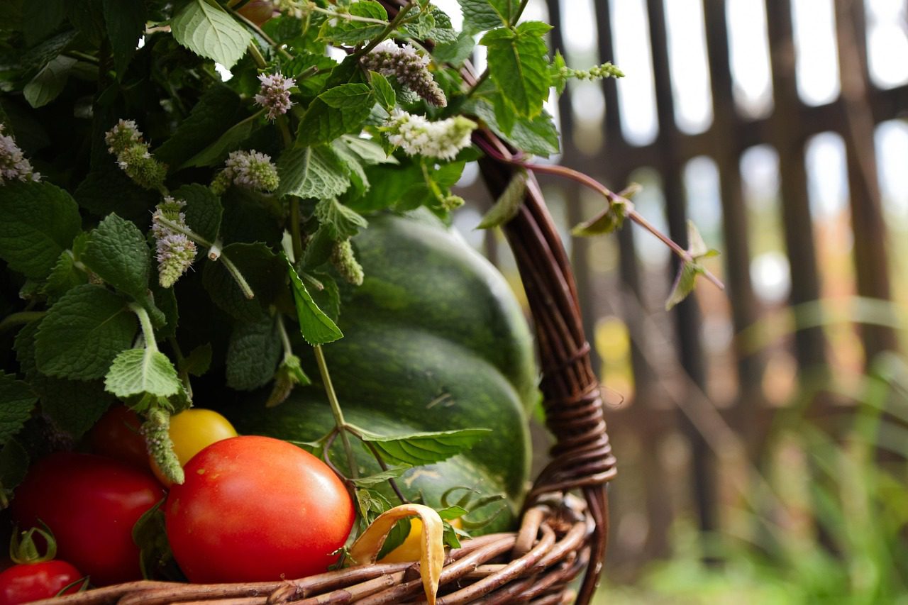 Les tomates sont sans aucun doute l'un des trésors de l'été