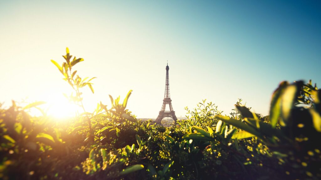 Si la France parle de promouvoir l'écologie, ses actions réelles ne sont pas aussi visibles.