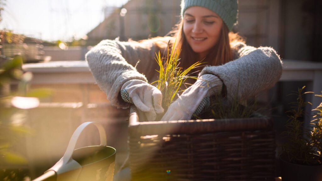 Le cycle naturel ne se termine pas avec l'automne. C'est à ce moment-là que commencent les préparatifs du printemps.