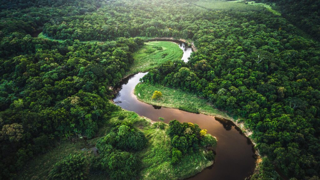 De nombreux cours d'eau sont gravement pollués.