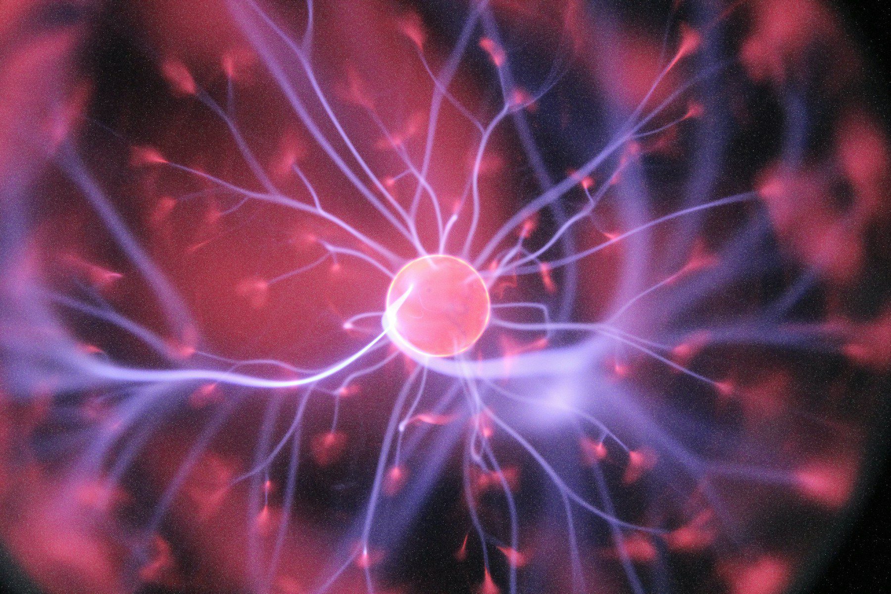 Au fur et à mesure que nous répétons des actions individuelles, des "voies neuronales" se forment dans le cerveau
