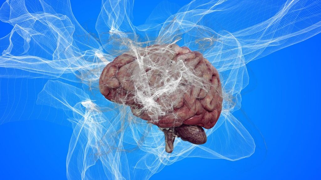 Le cerveau a de nombreuses fonctions qui peuvent se détériorer en cas de carence en certains minéraux. Il est donc important de les apporter régulièrement à l'organisme.