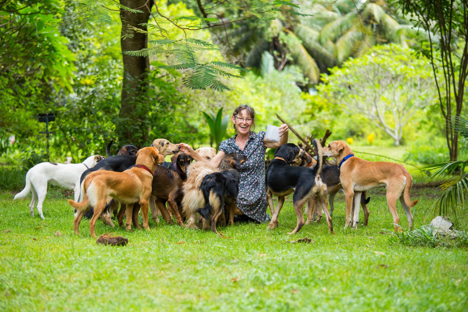 Il y a beaucoup d'animaux dans le monde qui ne peuvent pas se battre pour eux-mêmes.