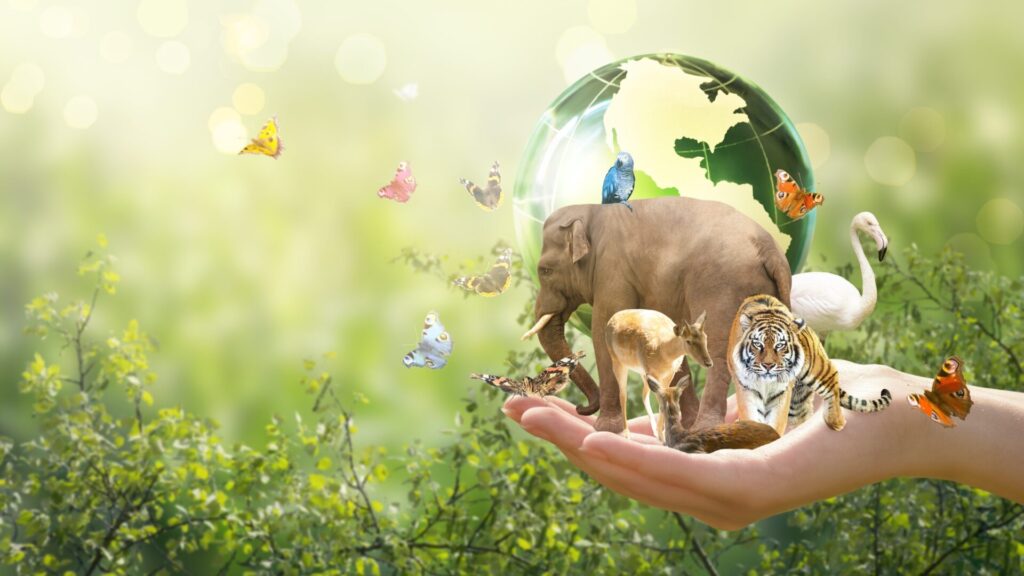 La Journée mondiale des animaux vise à promouvoir la protection des animaux.