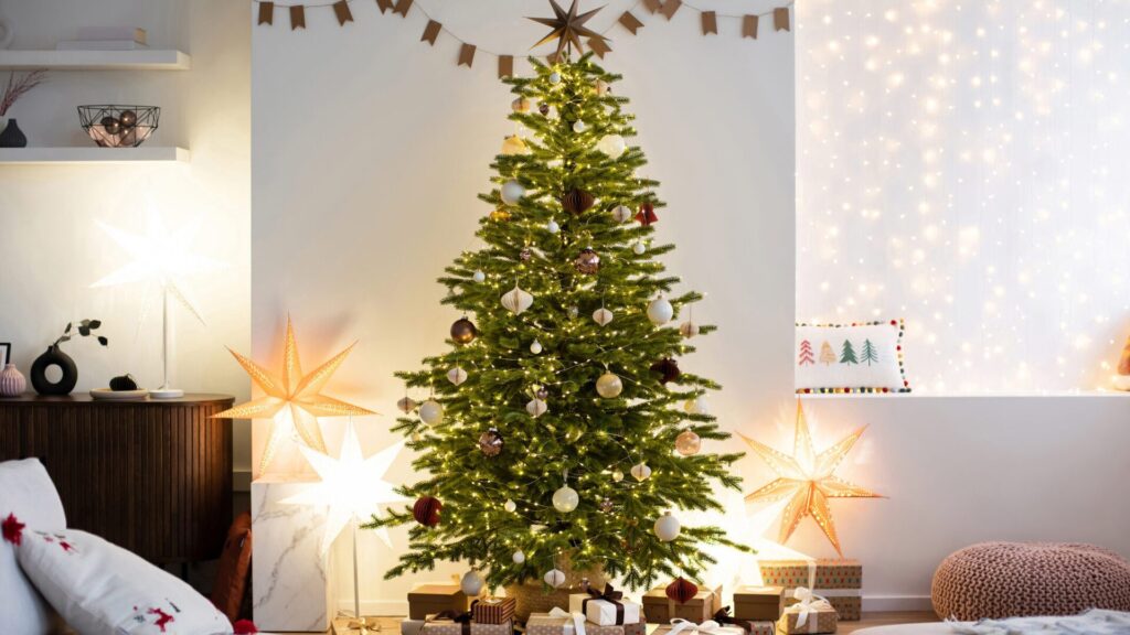 Un sapin de Noël peut être magnifique pendant les fêtes. Mais il faut bien le choisir et en prendre soin pour qu'il ne tombe pas tout de suite.