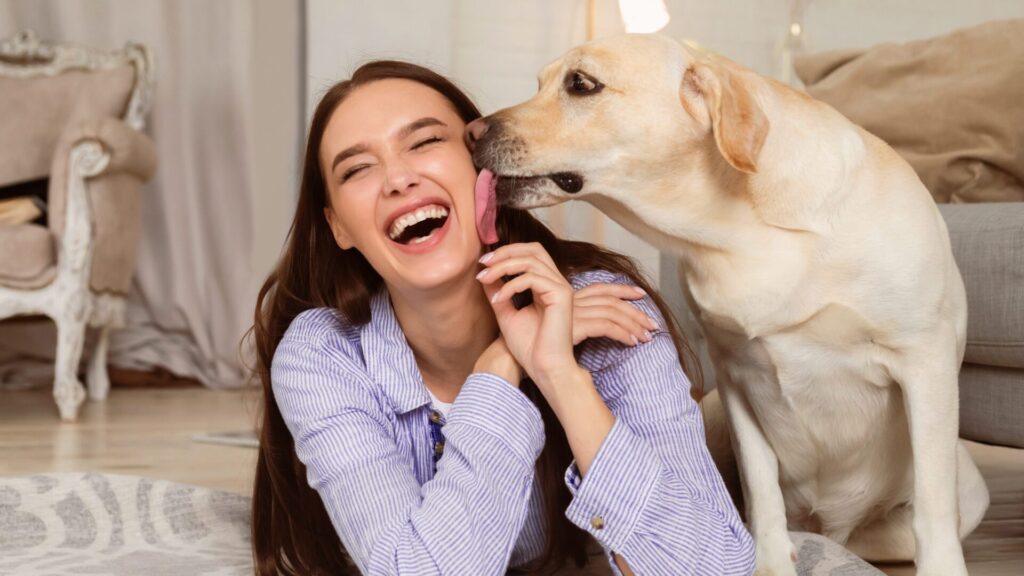 Tout propriétaire de chien a parfois été confronté au fait que son animal à quatre pattes le léchait. Mais pourquoi les animaux le font-ils ?