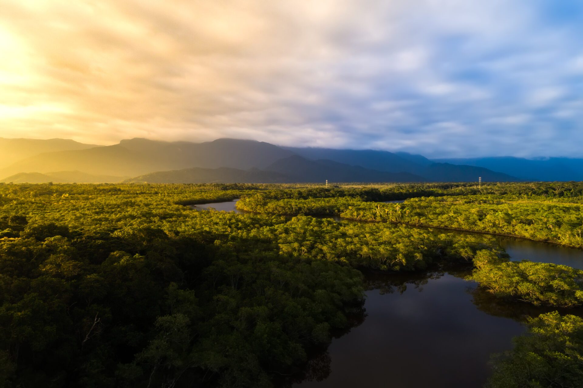 La forêt amazonienne contribue largement à la stabilisation du climat.