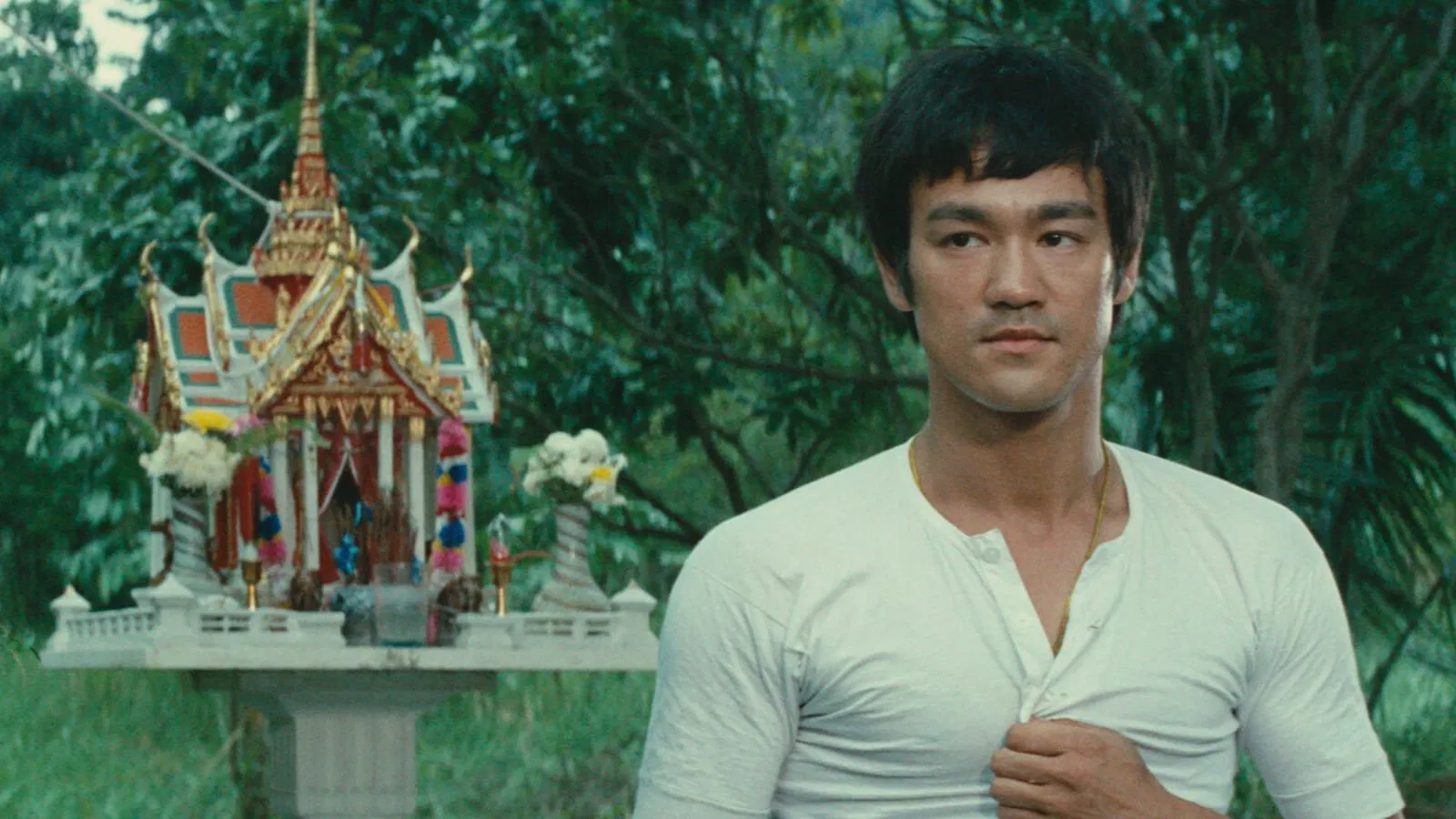 Bien que Bruce Lee soit mort très tôt, il a réussi à marquer l'esprit des gens du monde entier.