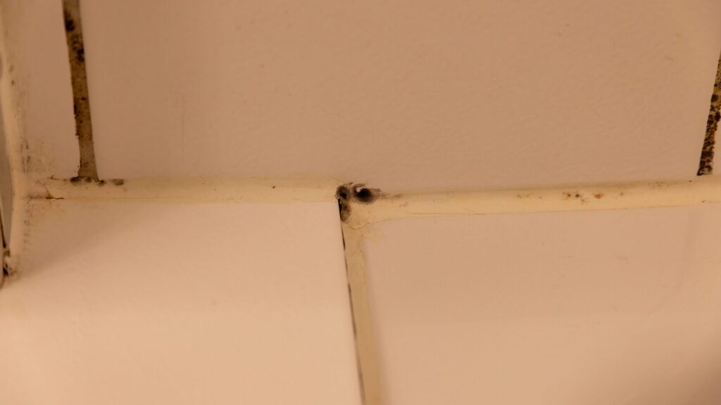 Les joints dans la salle de bains peuvent être un gros problème et accumuler des bactéries. Mais nous savons comment nous en débarrasser.