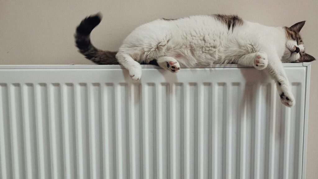 La qualité de votre sommeil est influencée par la température de la pièce. Peu de gens savent qu'il est idéal d'installer un radiateur en hiver.