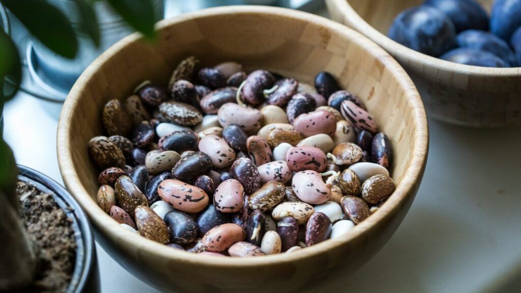 Les haricots sont une excellente légumineuse riche en protéines, en vitamines et en minéraux. Cependant, leur consommation peut provoquer des ballonnements s'ils sont mal préparés.