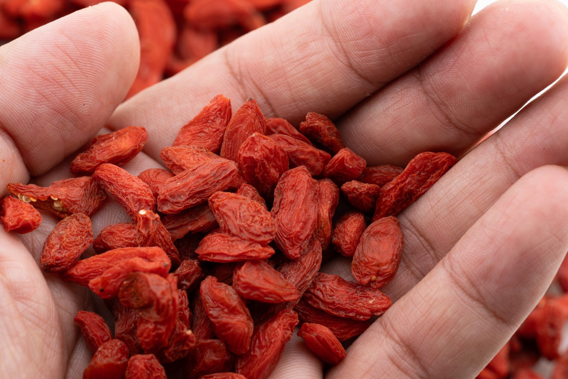 Les bienfaits des baies de goji sont connus depuis des milliers d'années.