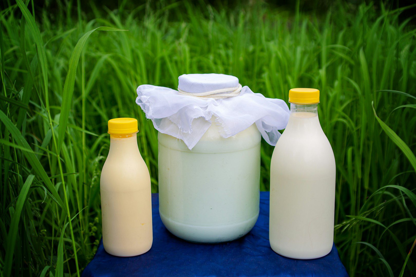 Il contient de nombreuses vitamines et minéraux. Pourquoi consommer régulièrement du lait de chèvre à un âge avancé ?