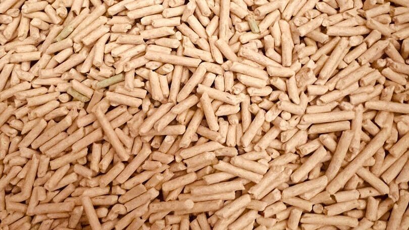 Les prix des granulés sont choquants pour les consommateurs polonais. Ils préfèrent donc s'approvisionner à l'étranger.