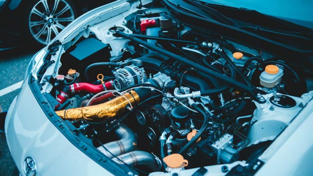 Un moteur de voiture endommagé peut être une affaire coûteuse et très désagréable. Protégez votre voiture des lapins
