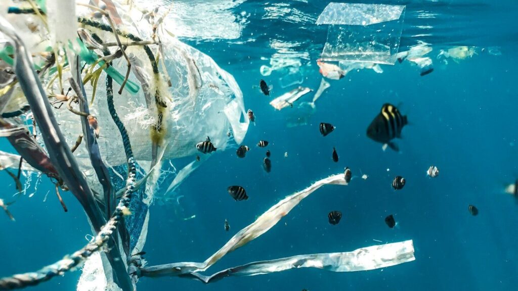 L'étude vient d'être confirmée : des particules microplastiques dangereuses sont présentes dans les tumeurs de la prostate