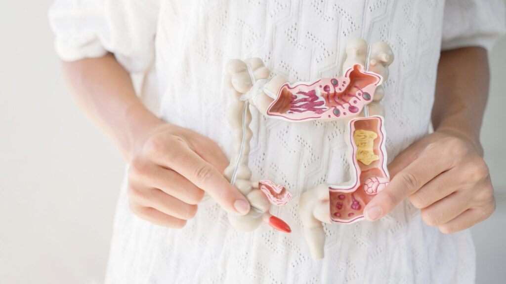 Un microbiome intestinal perturbé affecte votre santé.