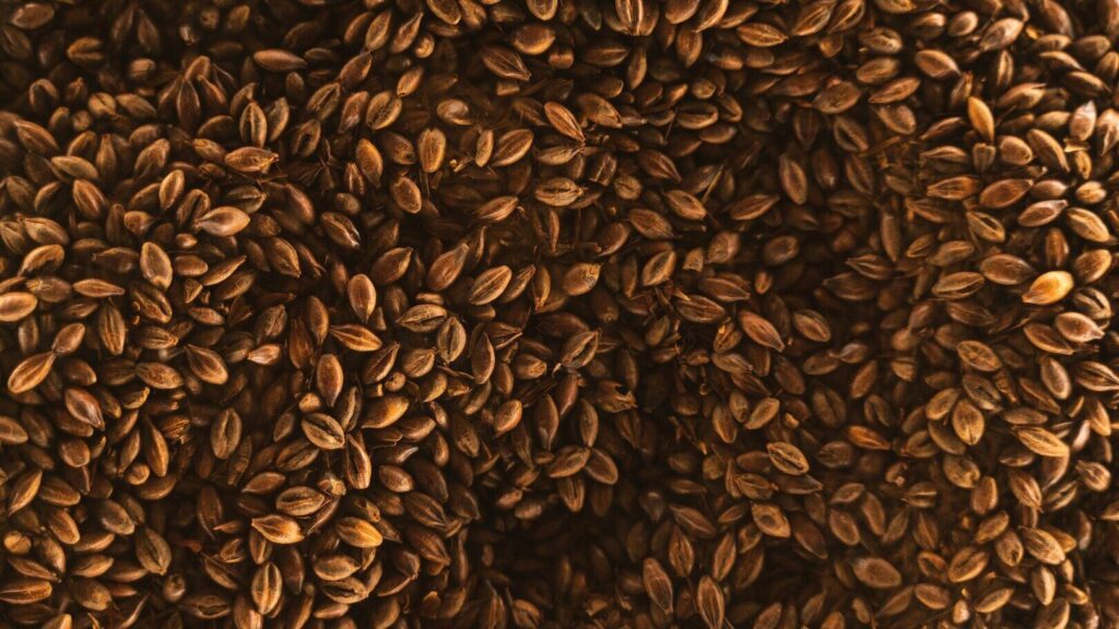 Avantages de la consommation quotidienne de graines de lin : un superaliment naturel qui favorise la santé du cœur, de l'intestin et de la peau