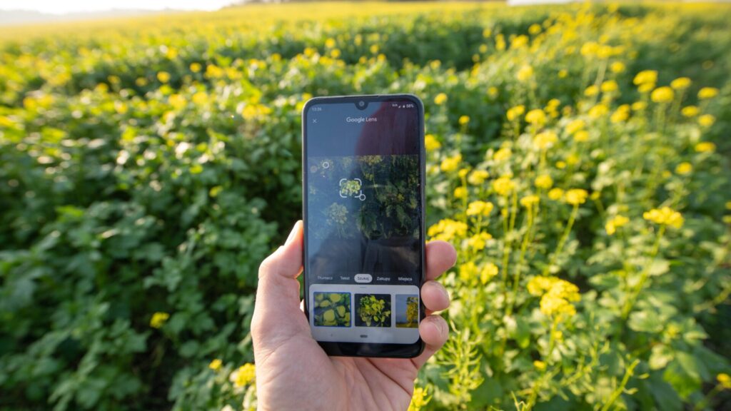 Vous vous promenez et vous voyez soudain une plante intéressante ? Google Lens peut vous aider à découvrir son nom.