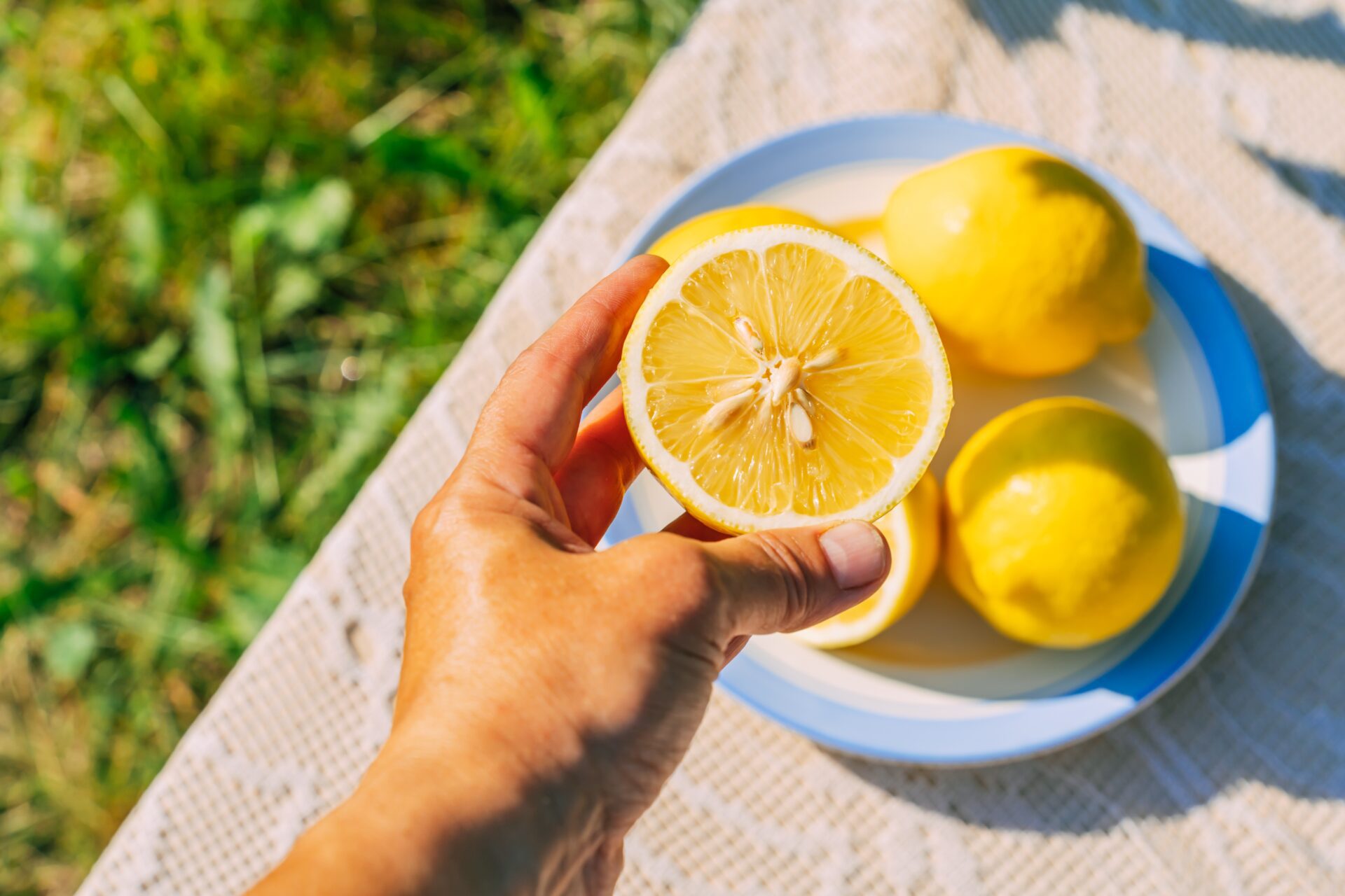 L'odeur de citron dissuade les visiteurs indésirables dans votre jardin.