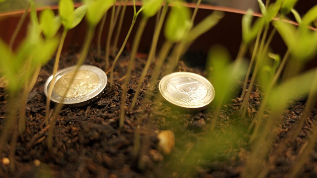 Une astuce de jardinage avec une pièce de monnaie peut aider une plante à prospérer.